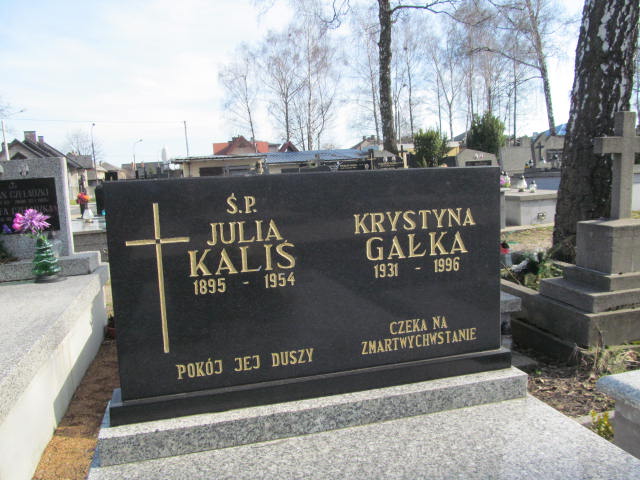 Julia KALIŚ 1894 Olkusz - Grobonet - Wyszukiwarka osób pochowanych
