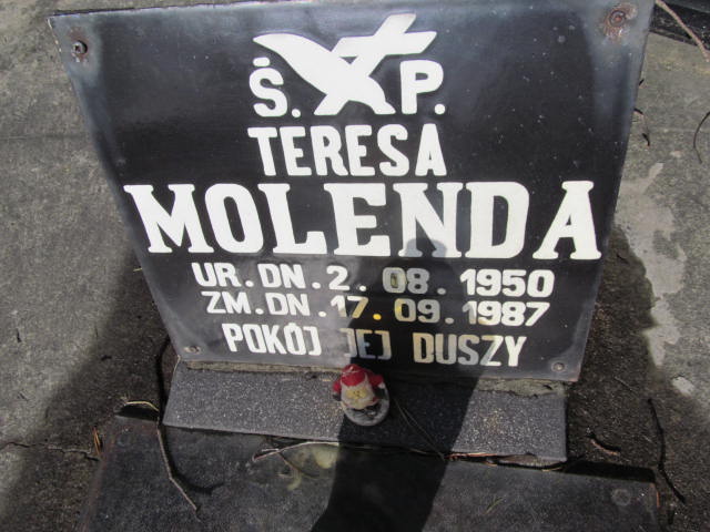 Teresa MOLENDA 1950 Olkusz - Grobonet - Wyszukiwarka osób pochowanych