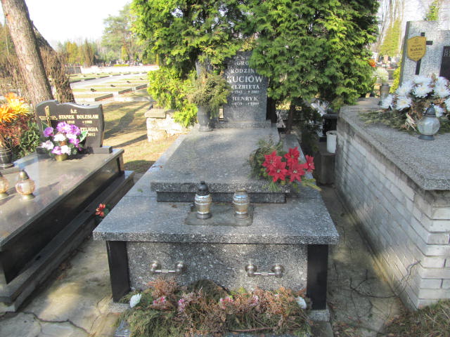 Grób ELŻBIETA KUCIA