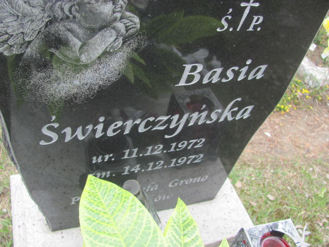 Barbara ŚWIERCZYŃSKA 1972 Olkusz - Grobonet - Wyszukiwarka osób pochowanych