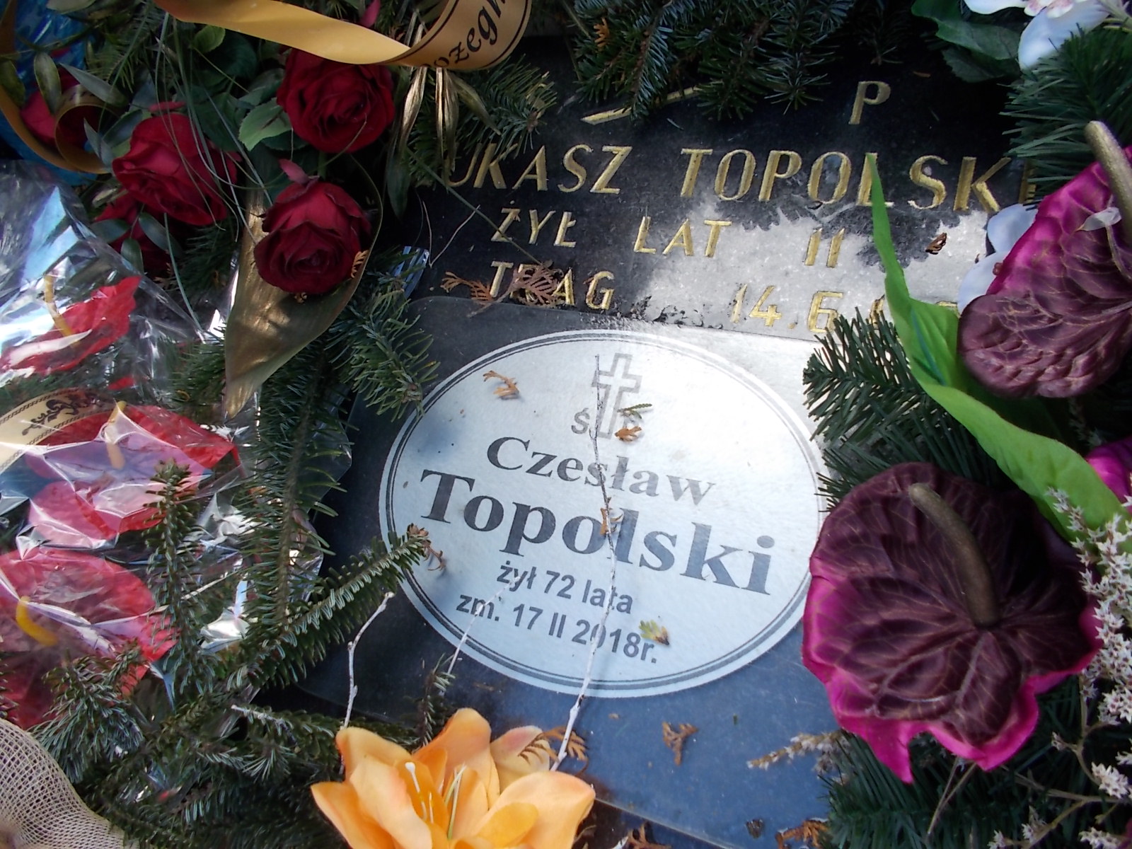 Łukasz TOPOLSKI Olkusz - Grobonet - Wyszukiwarka osób pochowanych