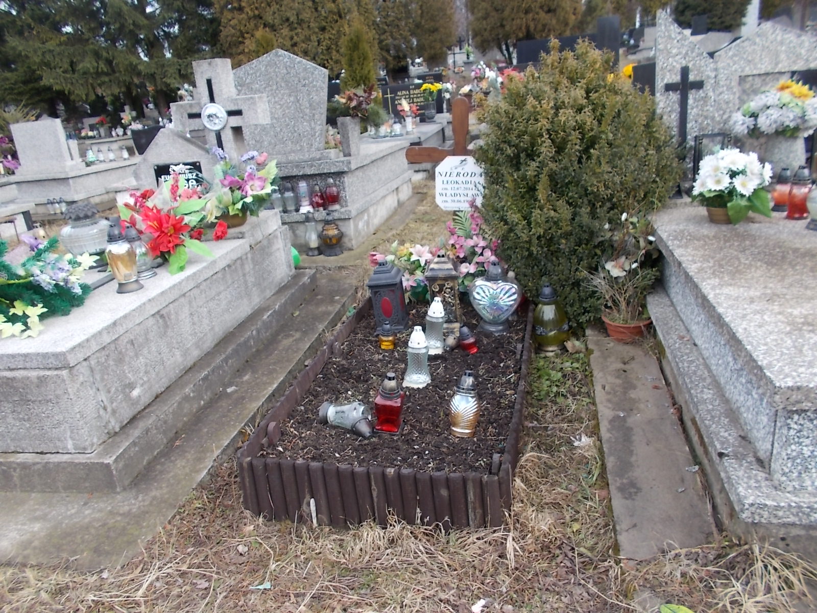 Grób LEOKADIA NIERODA